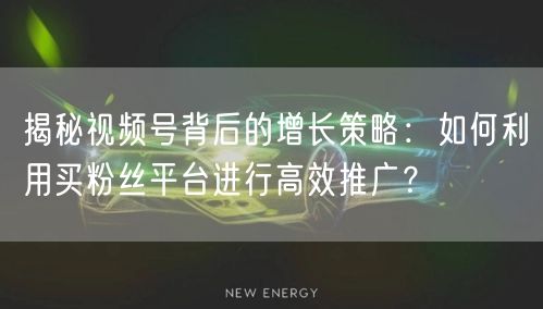 揭秘视频号背后的增长策略：如何利用买粉丝平台进行高效推广？