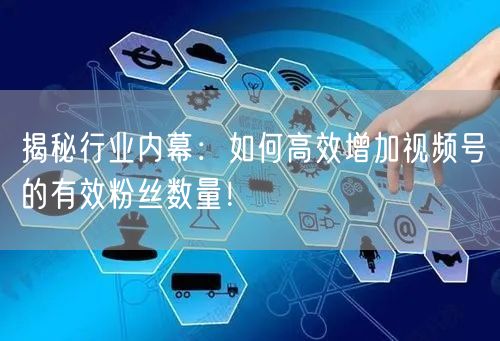 揭秘行业内幕:如何高效增加视频号的有效粉丝数量!