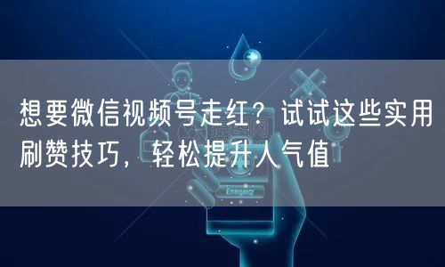 想要微信视频号走红？试试这些实用刷赞技巧，轻松提升人气值