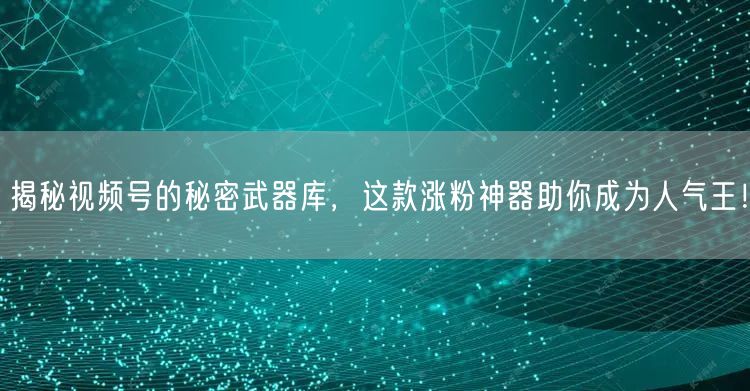 揭秘视频号的秘密武器库，这款涨粉神器助你成为人气王！