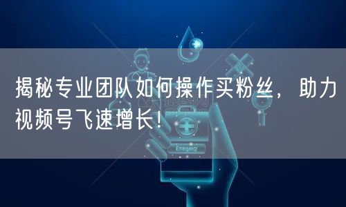 揭秘专业团队如何操作买粉丝，助力视频号飞速增长！